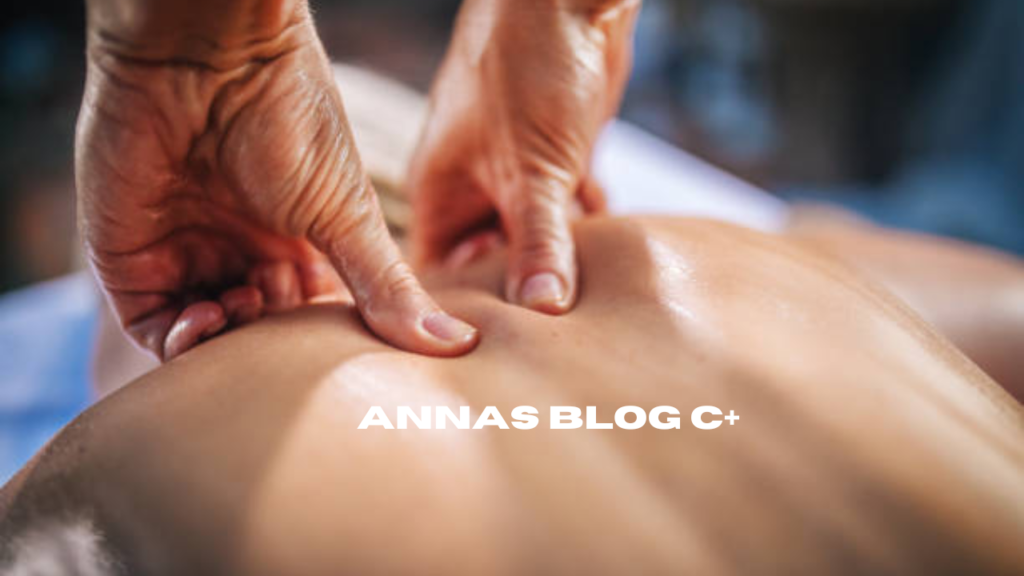 annas blog c+