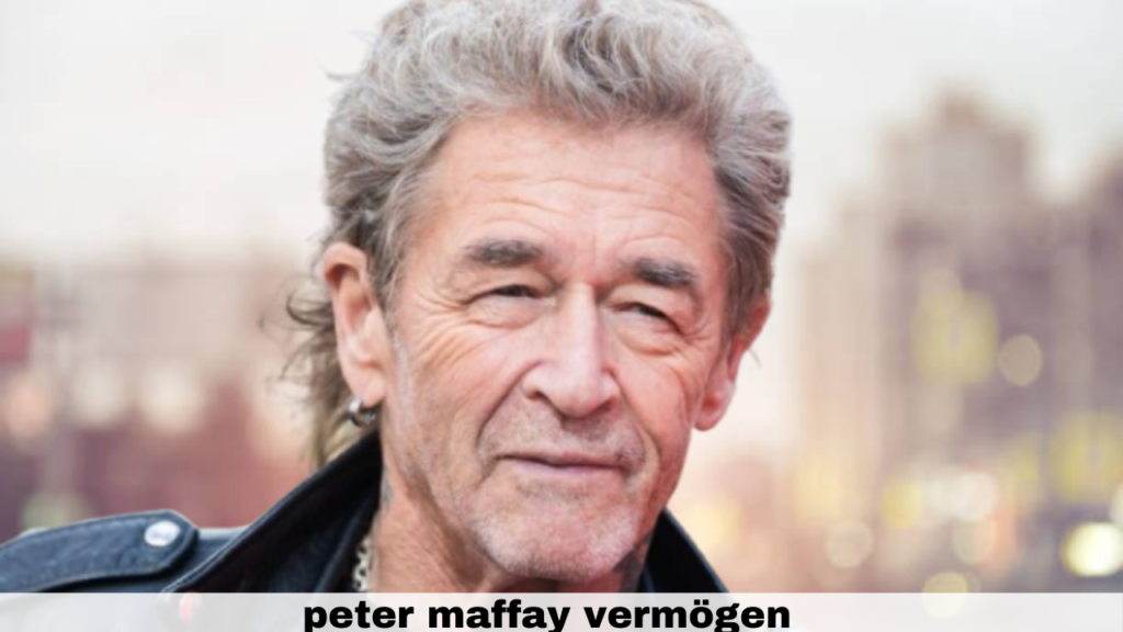 peter maffay vermögen