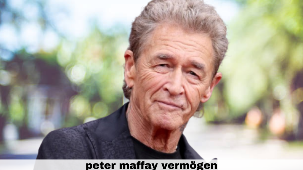 peter maffay vermögen