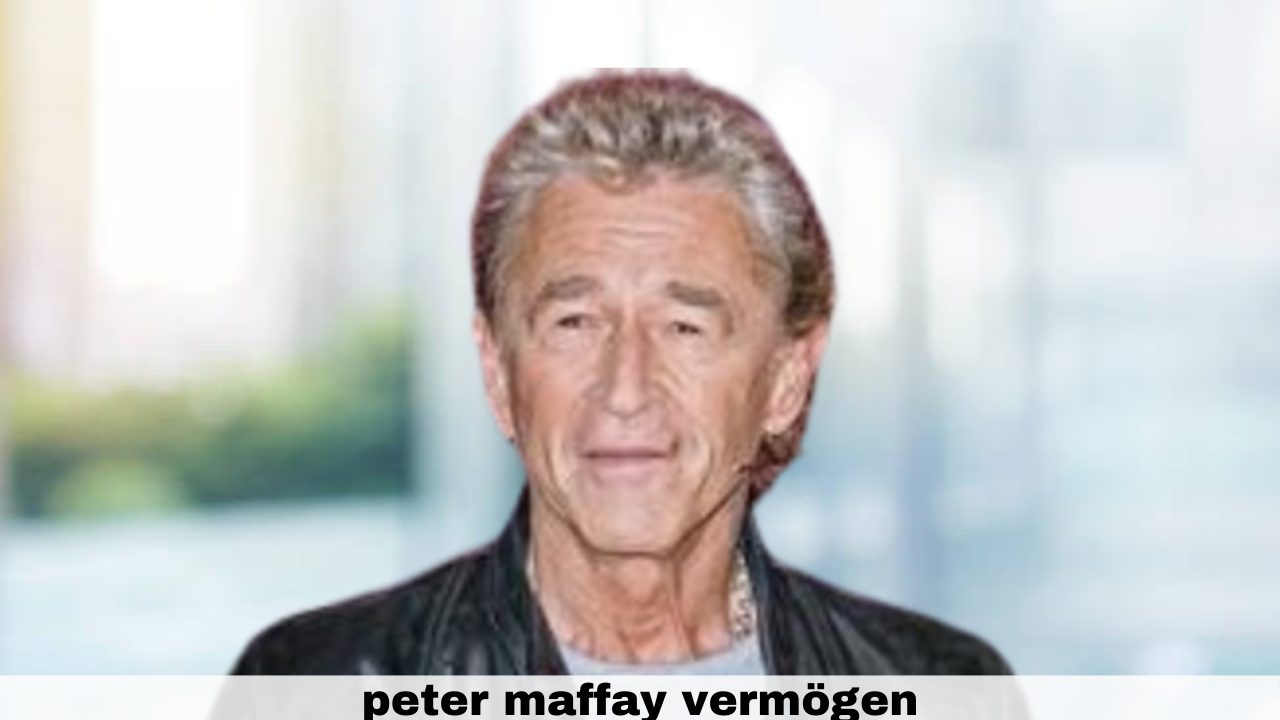 peter maffay vermögen